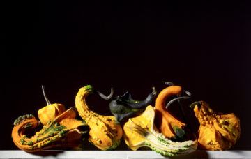 Gourds, botanical, photography by Rich Begany