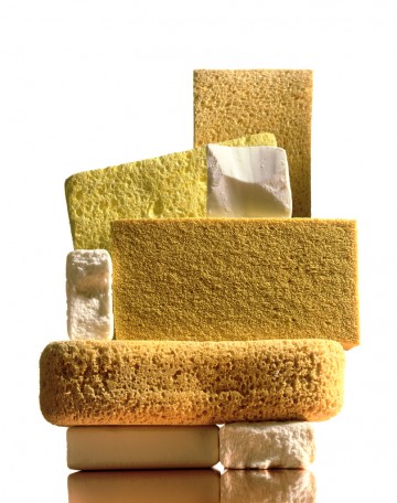 Sponges, still life photography by Rich Begany